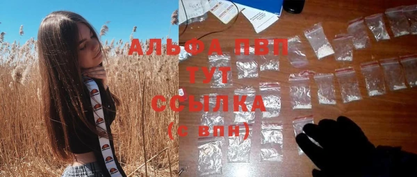 прущие грибы Слюдянка