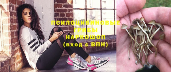 прущая мука Снежногорск